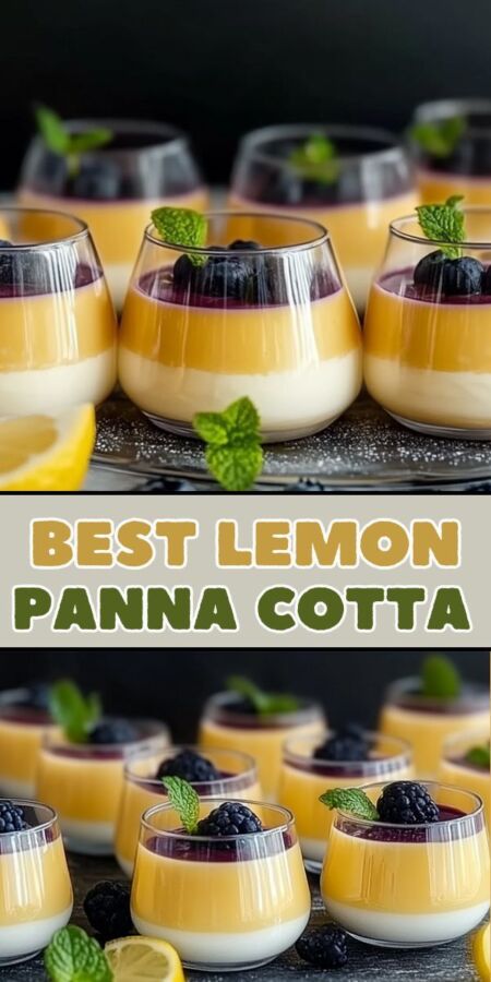 Panna cotta onctueuse maison
